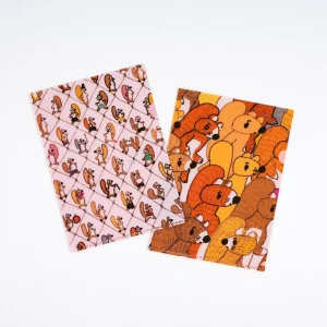 100%ORANGE Hobonichi Folder Set of 2 for A5 Size (Squirrel Squadron)